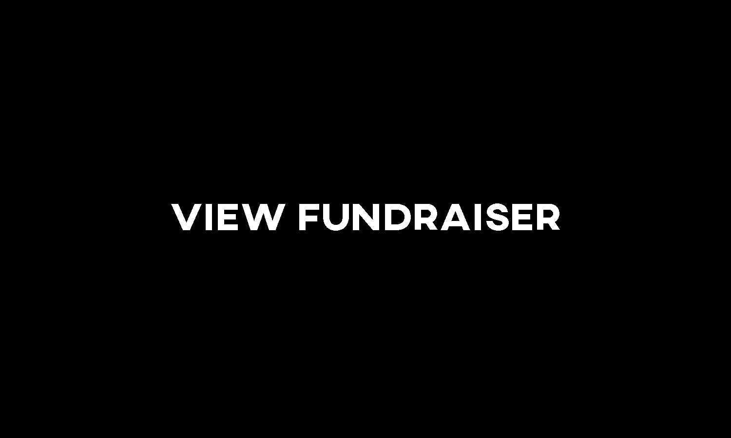View Fundraiser