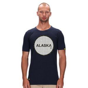 ALASKA LOGO 1 ARMY