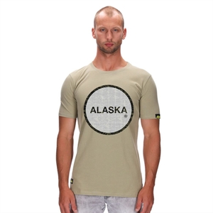 ALASKA LOGO 1 ARMY